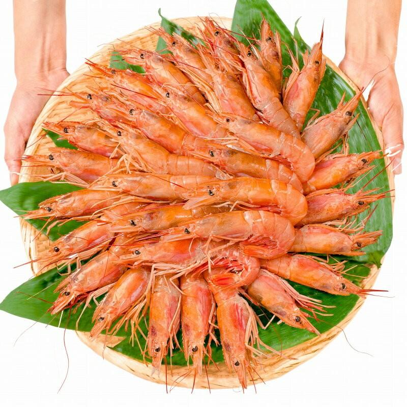 えびえび エビ 船上凍結天然甘えび 合計約1kg 2L～3Lサイズ 46～57尾 北晃