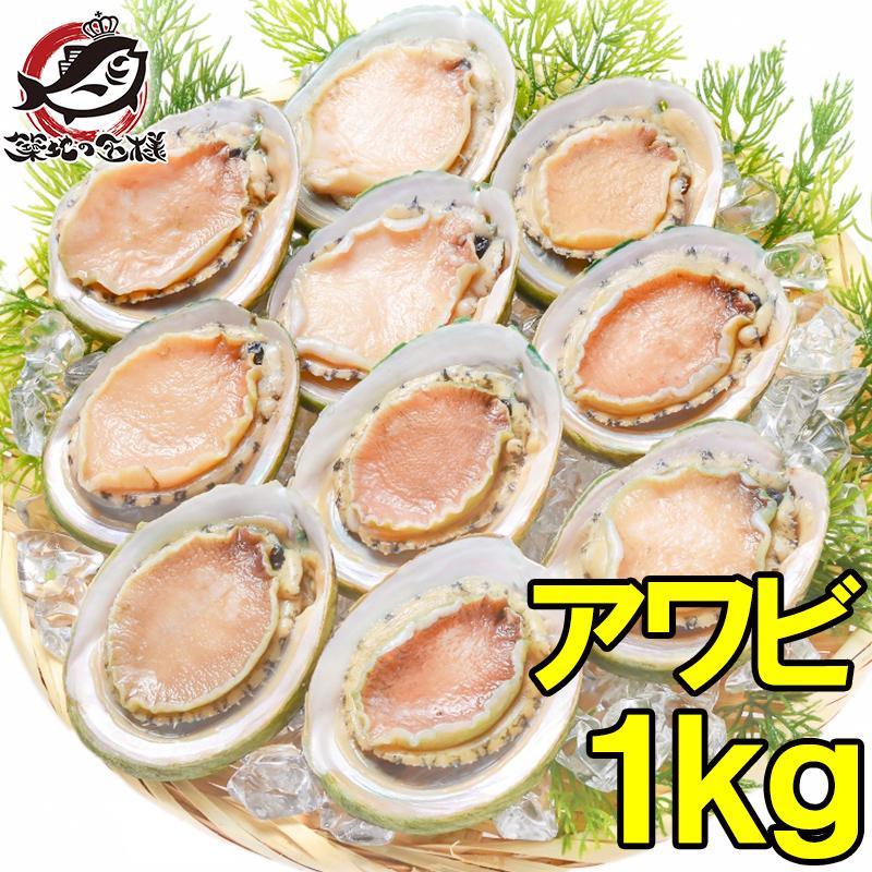 アワビ あわび Lサイズ 1kg 1箱12個入り 殻つきお刺身用アワビ 翡翠の