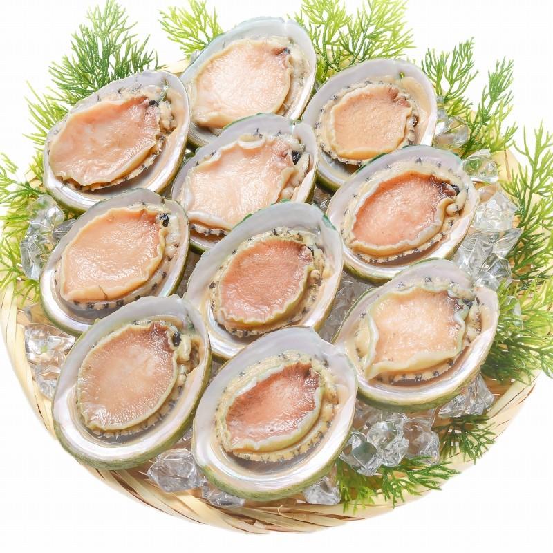 アワビ あわび Lサイズ 1kg 1箱12個入り 殻つきお刺身用アワビ 翡翠の