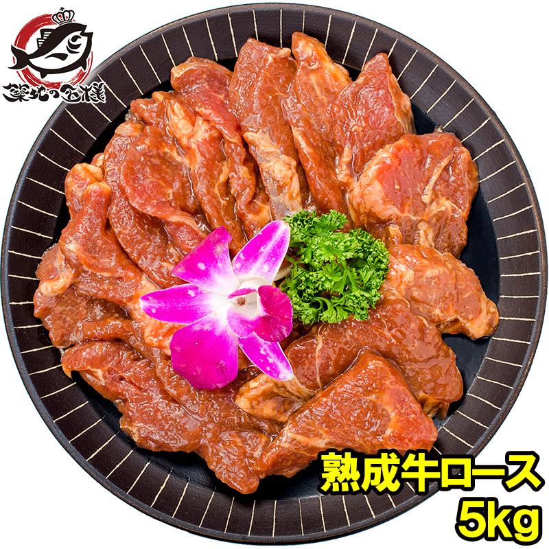 大人も着やすいシンプルファッション 牛ロース ロース 焼肉 合計 5kg 500g 10パック 業務用 熟成牛 熟成肉 味付け ロース肉 牛肉 肉 お肉 鉄板焼き ステーキ q ギフト Materialworldblog Com