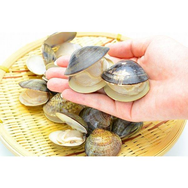 うに カニ まぐろなら築地の王様はまぐり ボイルハマグリ ハマグリ 2kg 500g 4 蛤