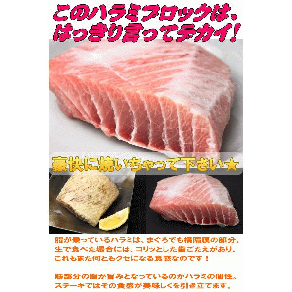 まぐろ トロ ハラミ ステーキ用 450g まぐろ マグロ 鮪 Harami Steak うに カニ まぐろなら築地の王様 通販 Yahoo ショッピング