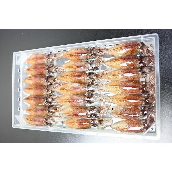 ホタルイカ ほたるいか 尾 約150g 富山産 予約販売 烏賊 刺身用 生ホタルイカ イカ いか