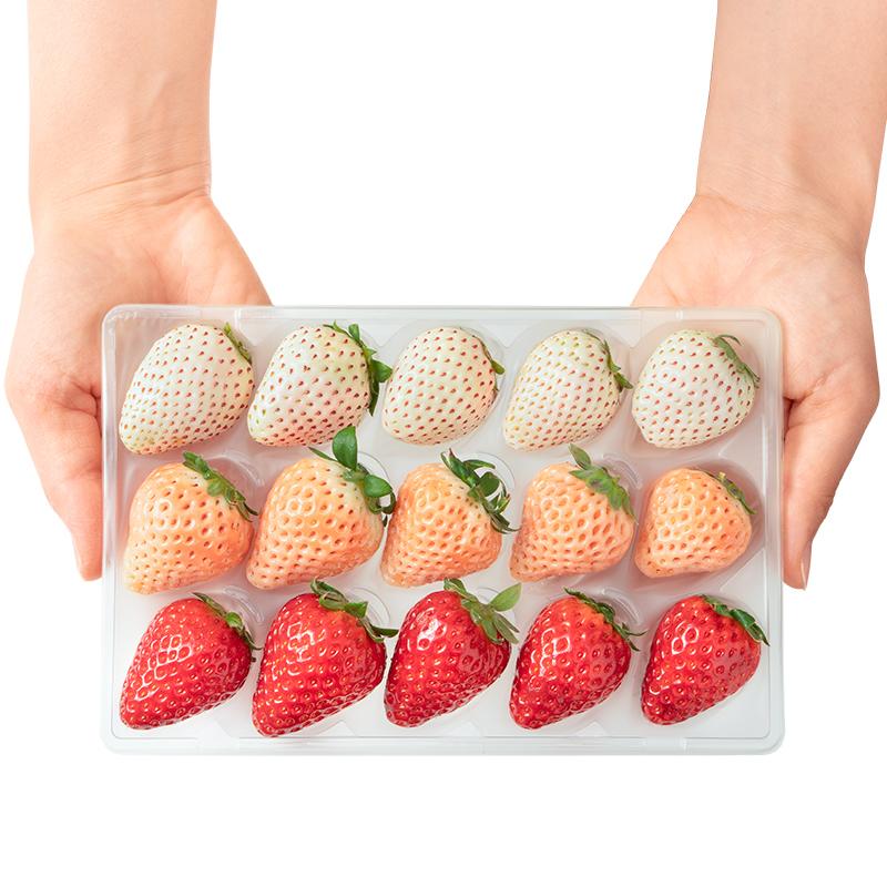 いちご3種食べ比べセット 250g×4パック 合計1kg 1箱 2パック 古都華