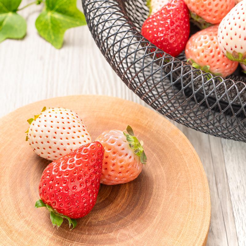 いちご3種食べ比べセット 250g×4パック 合計1kg 1箱 2パック 古都華