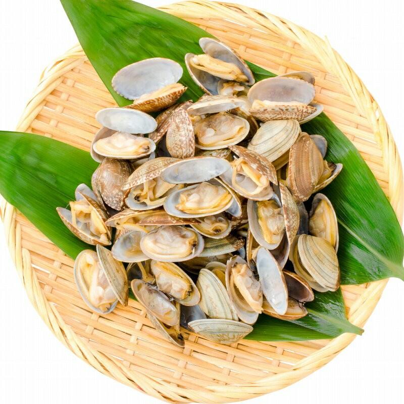 あさり アサリ (殻付きあさり1kg ボイル 冷凍あさり) : うに あさり アサリ (殻付きあさり1kg ボイル 冷凍あさり) : うに