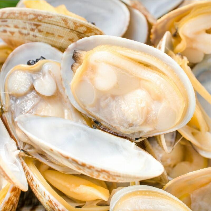 あさり アサリ (殻付きあさり500g ボイル 冷凍あさり) : うに