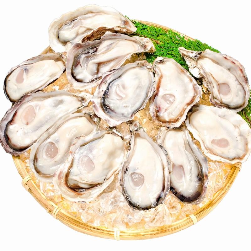 お中元 生牡蠣 殻付き 生食用カキ 12個入り 冷凍殻付き牡蠣 生食用 牡蠣 カキ かき : うに カニ まぐろなら築地の王様 - 通販 ...