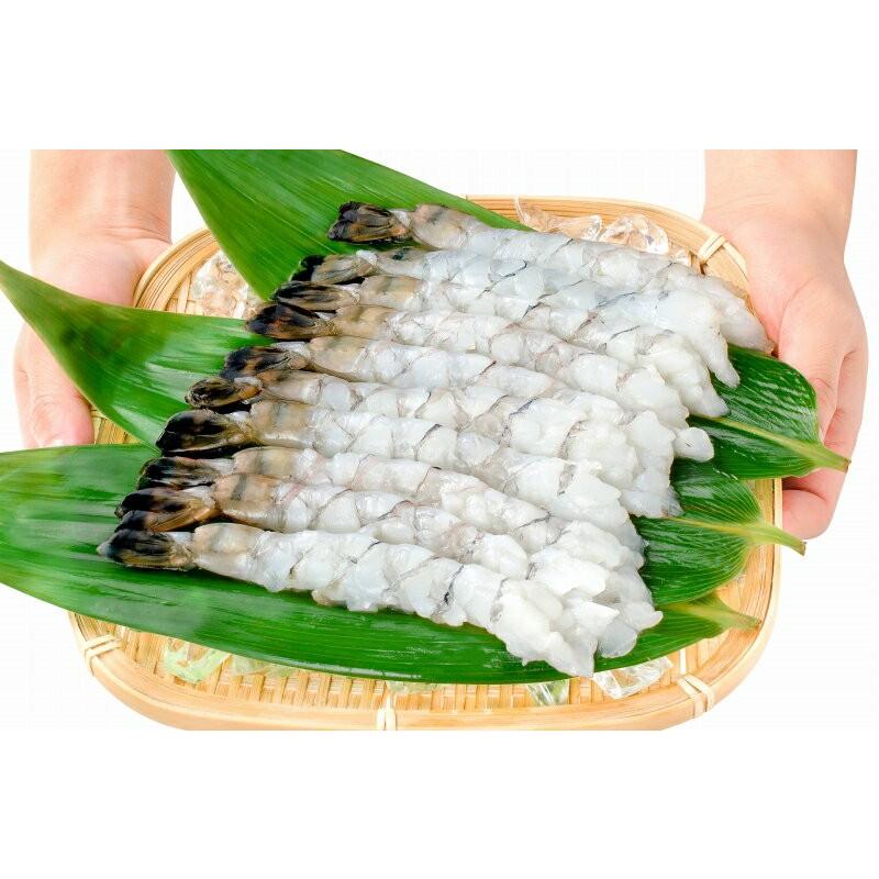 エビ マダガスルージュ プレミアム 永遠のえび 10尾小分け。大阪市中央卸売