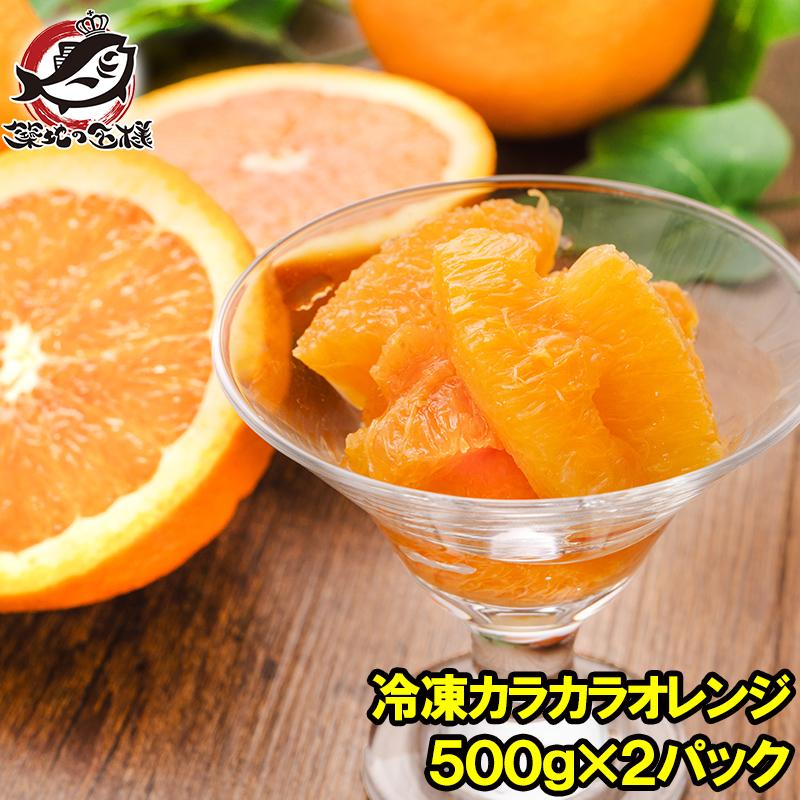父の日 冷凍オレンジ 無添加 カラカラオレンジ 業務用 500g ×2パック