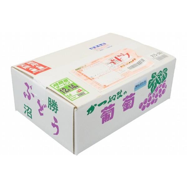 ピオーネ 山梨県 長野県産 種なし 1箱 2kg前後 650g前後×3房 3L サイズ