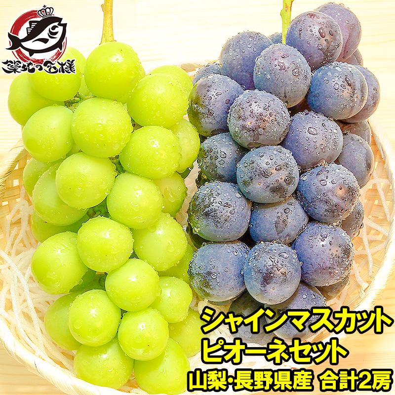【MIE】シャインマスカット3房･ピオーネ1房セット シャインマスカット＆ピオーネ詰合せ 1.6kg 2～3房