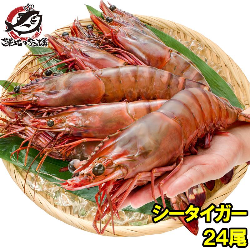 限定製作 シータイガー 24尾 約30cm 1 5kg 3箱 天然 特大 超特大 エビ えび 海老 加熱用 冷凍 q バーベキュー 冷凍海老 ジャンボ エビフライ 海老フライ 天ぷら 宅送 Atempletonphoto Com