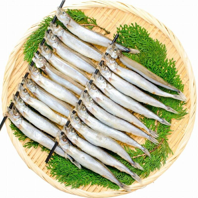 子持ちししゃも 子持ちからふとししゃも1箱20尾 ×10箱 大サイズ樺太シシャモ : うに