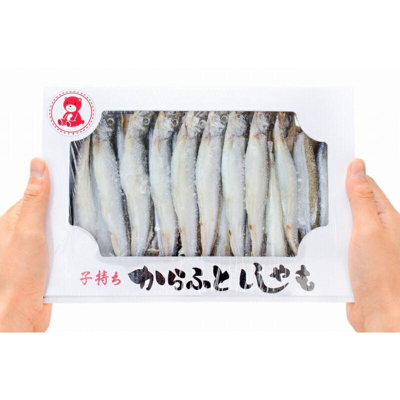 子持ちからふとししゃも1箱20尾 ×3箱(大サイズ樺太シシャモ 子持ちからふとししゃも1箱20尾 ×3箱(大サイズ樺太シシャモ