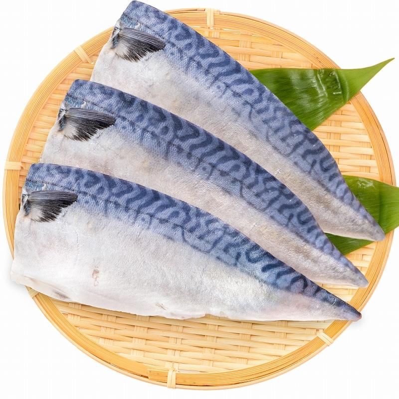 さばしお 塩さば 塩サバ 骨抜き 骨なし 骨無し 3枚入り×5パック 1.65kg