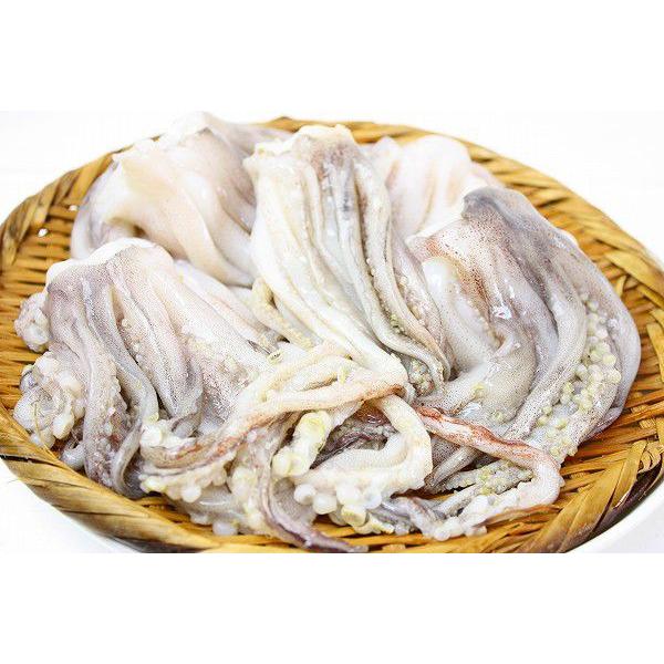 スルメイカげそ 1kg いかげそ イカゲソ いか下足 イカ下足 Surume Geso うに カニ まぐろなら築地の王様 通販 Yahoo ショッピング