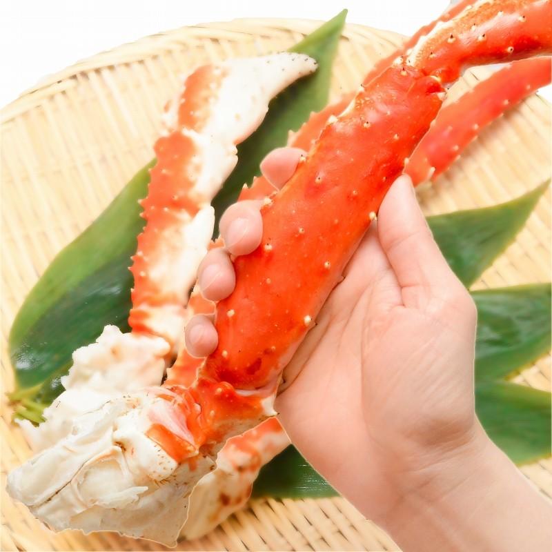 タラバガニ たらばがに 超特大 極太 7L 1.3kg 前後 ×1肩 足 脚 肩 セクション 正規品 かに カニ 蟹 ボイル 冷凍 かに鍋 焼きガニ 単品おせち 海鮮おせち｜tsukiji-ousama｜09