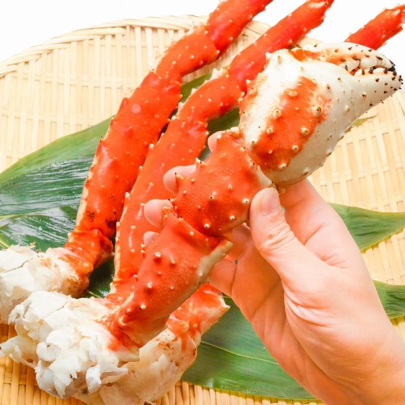 タラバガニ たらばがに 超特大 極太 7L 1.3kg 前後 ×1肩 足 脚 肩 セクション 正規品 かに カニ 蟹 ボイル 冷凍 かに鍋 焼きガニ 単品おせち 海鮮おせち｜tsukiji-ousama｜10