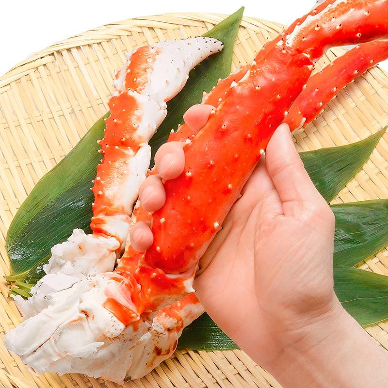 タラバガニ たらばがに 超特大 極太 7L 1.3kg 前後 ×1肩 足 脚 肩