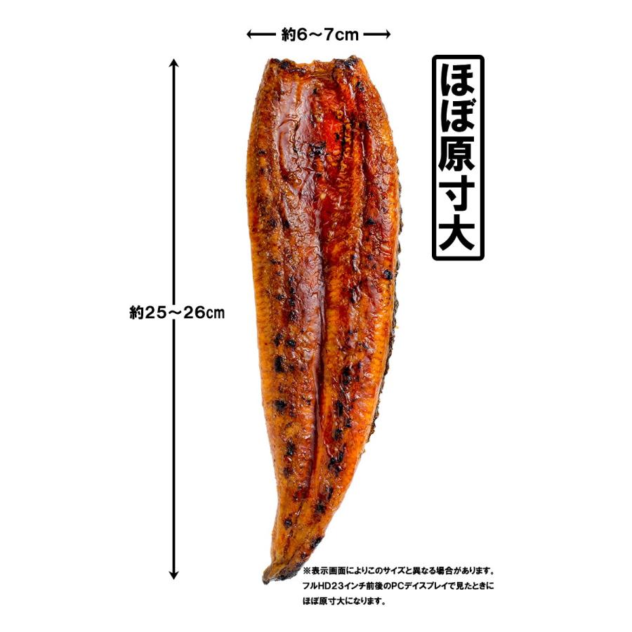 国産うなぎ蒲焼き 大サイズ 平均165g前後×10尾｜tsukiji-ousama｜04