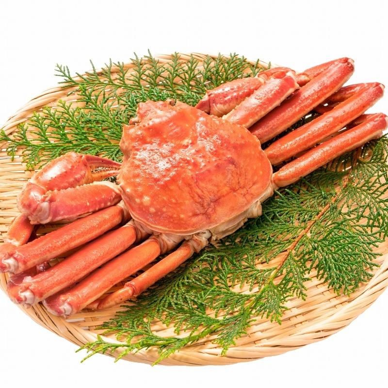 ズワイガニ 姿 750g前後×1尾 冷凍ゆでがに 本ズワイガニ 解凍するだけ