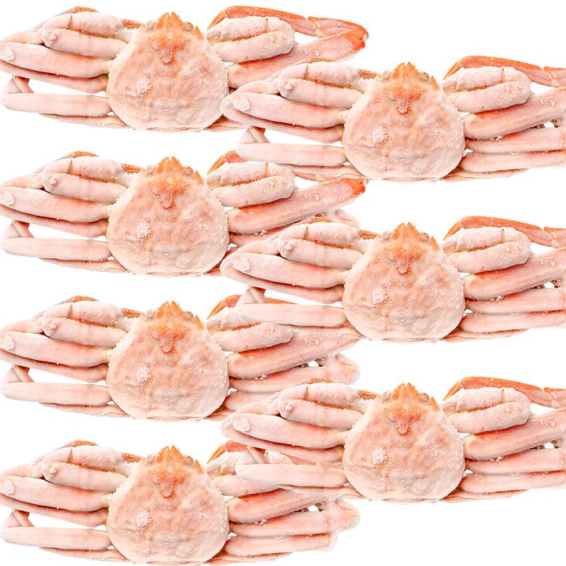 冷凍ボイル　本ズワイガニ6尾/総重量3kg 楽天市場】ズワイガニ 訳あり 3kg （ カナダ産 6〜8尾入り