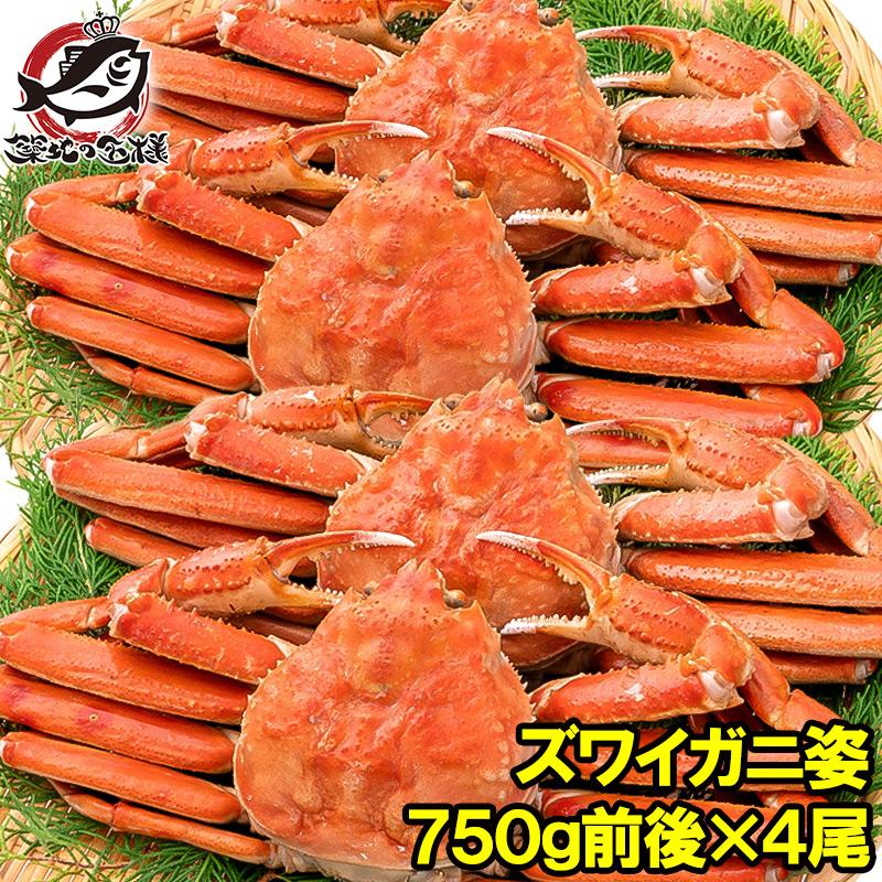 ズワイガニ 姿 3kg 750g前後×4尾 冷凍ゆでがに 本ズワイガニ