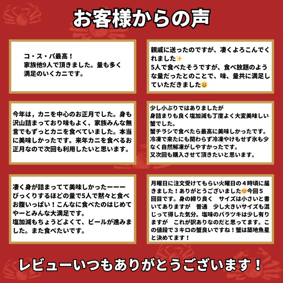 かに カニ 蟹 ずわいがに ボイル 脚 てんこ盛3kg 10-13肩/5-6 かに カニ 蟹 ずわいがに ボイル 脚 てんこ盛3kg 10-13肩/5-6