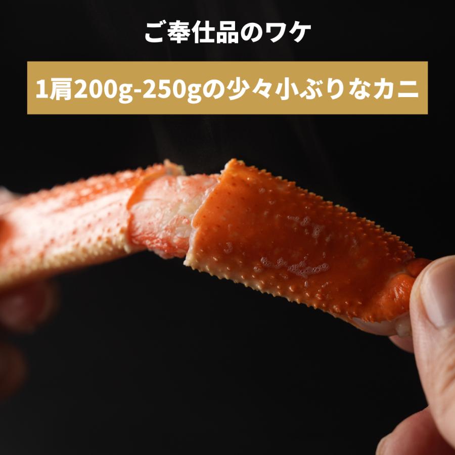 かに カニ 蟹 ずわいがに ボイル 脚 てんこ盛3kg 10-13肩/5-6人前 ギフト お歳暮 贈りもの ズワイガニ かに カニ 蟹｜tsukiji-uosei｜03