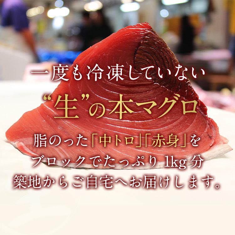 築地直送 国産生本マグロ 中トロ 赤身 ブロック1kg 送料関税無料 切り方レシピ付
