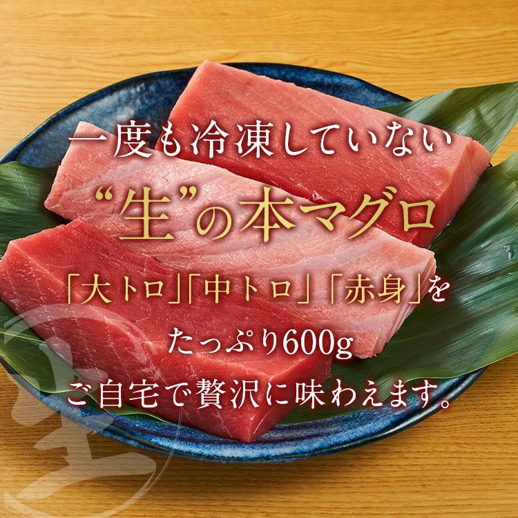 送料無料】築地直送 国産生本マグロ 大トロ 中トロ 赤身 柵 セット | まぐろ マグロ 生まぐろ 鮪 お取り寄せグルメ 刺身 マグロ丼 手巻き寿司 :7000-0020-03:築地わだつみ - 通販 - Yahoo!ショッピング 送料無料】築地直送 国産生本マグロ 大トロ 中トロ 赤身 柵 セット | まぐろ マグロ 生まぐろ 鮪 お取り寄せグルメ 刺身 マグロ丼 手巻き寿司 :7000-0020-03:築地わだつみ - 通販 - Yahoo!ショッピング