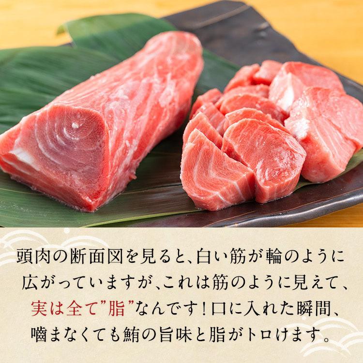 脳天 本マグロ 頭肉 切り落とし 2人前 120g×2 お中元 夏ギフト 内祝い