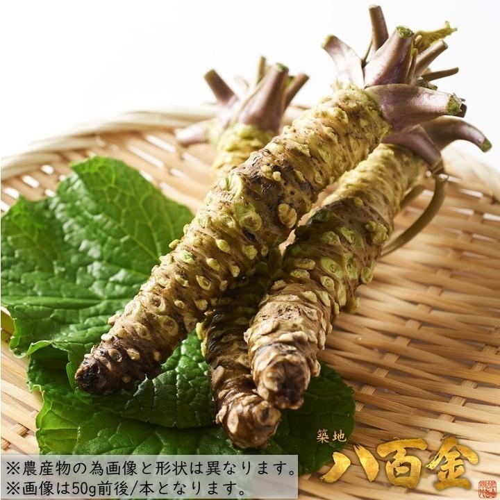 御殿場産 生山葵(わさび)大(50〜60g前後/本)真妻種 本わさび 御殿場産 生山葵(わさび)大(50〜60g前後/本)真妻種 本わさび