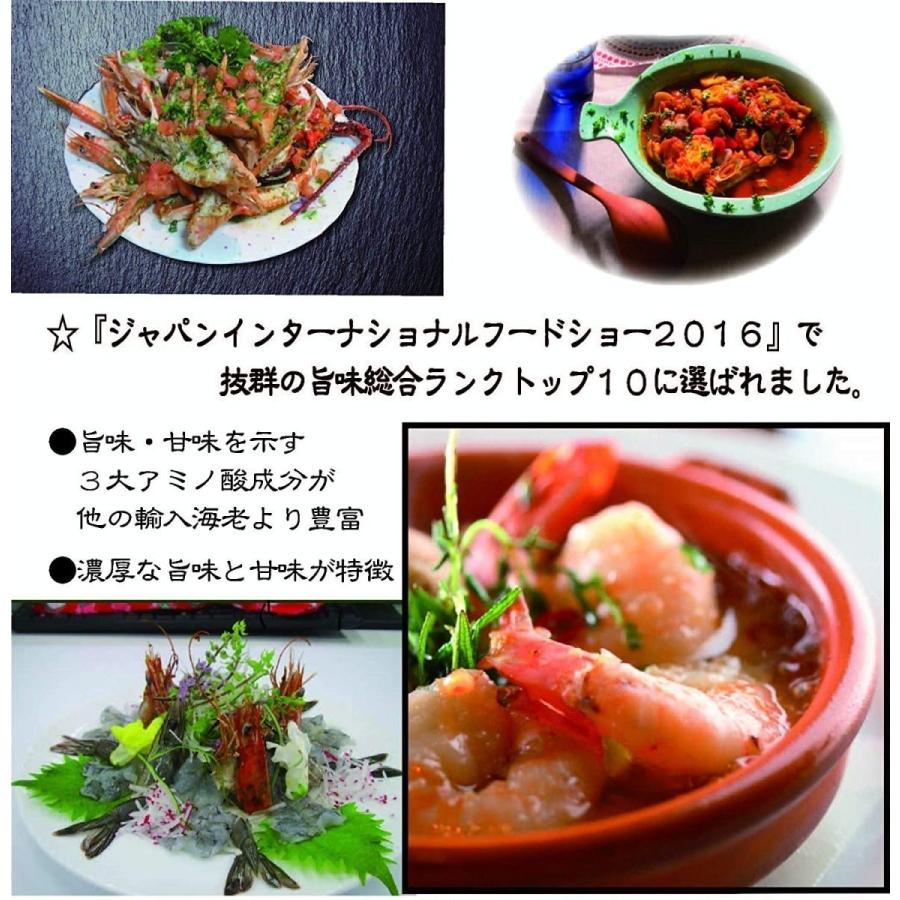 訳あり エビ 生食 高級 刺身 生食 海老 冷凍 ブルネイ産ロイヤルブルーシュリンプ 800ｇ 51 60 約42尾 ギフト お歳暮可 銀座 萌黄亭 Yahoo 店 通販 Yahoo ショッピング