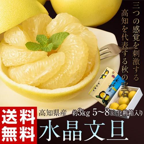 高知県産 水晶文旦 約3kg 秀品 5 8玉 化粧箱入 常温 送料無料 1a 豊洲からの直送便 ヤフー店 通販 Yahoo ショッピング