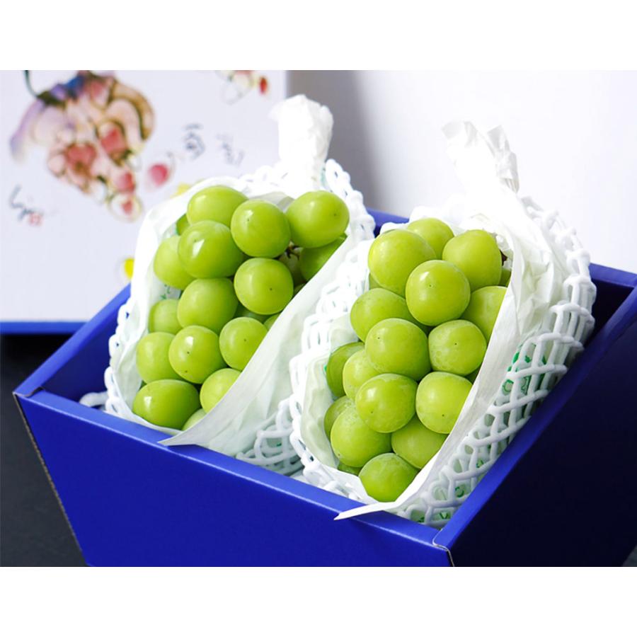 シャインマスカット大房 2房 山梨JAふえふき JAふえふき 大房 シャインマスカット 青秀品 2房 （合計約1.2kg