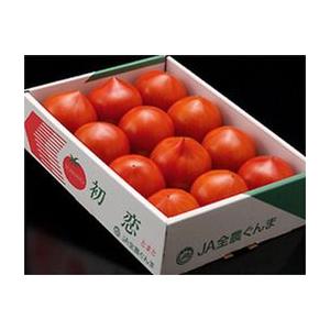 トマト フルーツトマト とまと『初恋トマト』　群馬産　900g　2S〜2Lサイズ　(7〜20玉)｜tsukijiichiba