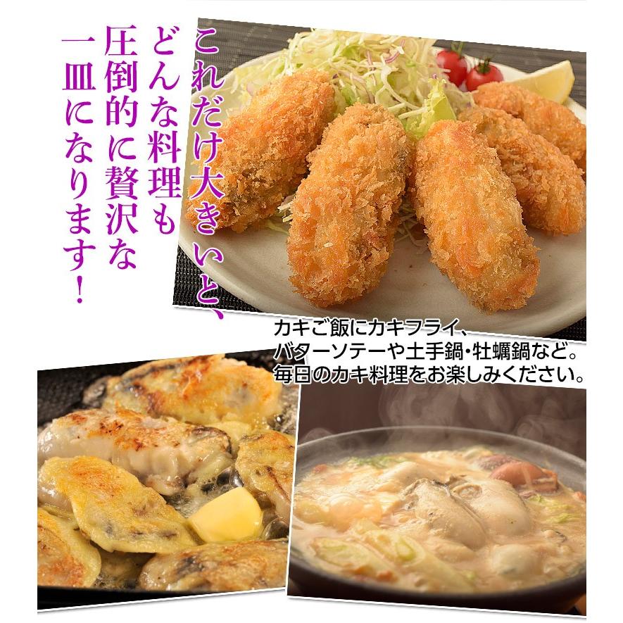 岡山県産 邑久の牡蠣 特大3Lサイズ 約1kg（解凍後約800g）加熱調理用