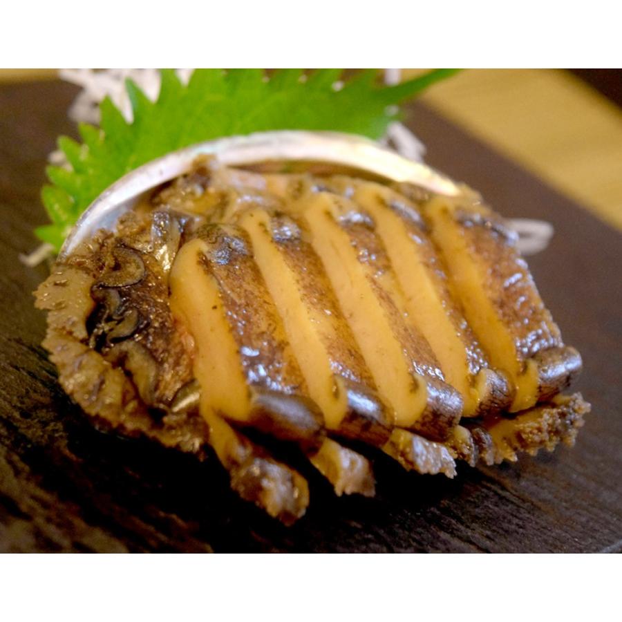 アワビ あわび 煮貝 鮑屋 煮あわび 姿煮 韓国産原料 小田原加工 1個 冷凍 1q 豊洲からの直送便 ヤフー店 通販 Yahoo ショッピング