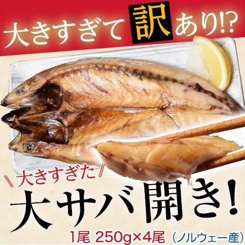 さば サバ 規格外 大きすぎた「大サバ開き」 4尾 冷凍 : 豊洲からの直送便 ヤフー店 - 通販 - Yahoo!ショッピング