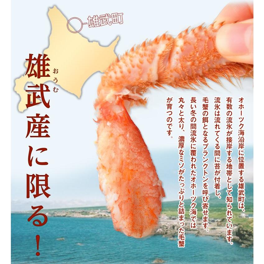 《送料無料》 北海道産毛蟹　500ｇ×3尾 ※冷凍 sea　☆｜tsukijiichiba｜02