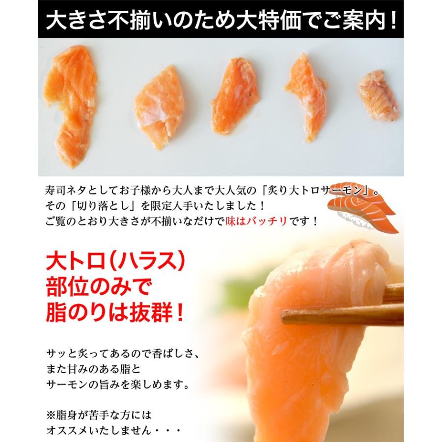 送料無料 炙り大トロサーモン300ｇ 3パック 冷凍 Sea 1q 豊洲からの直送便 ヤフー店 通販 Yahoo ショッピング