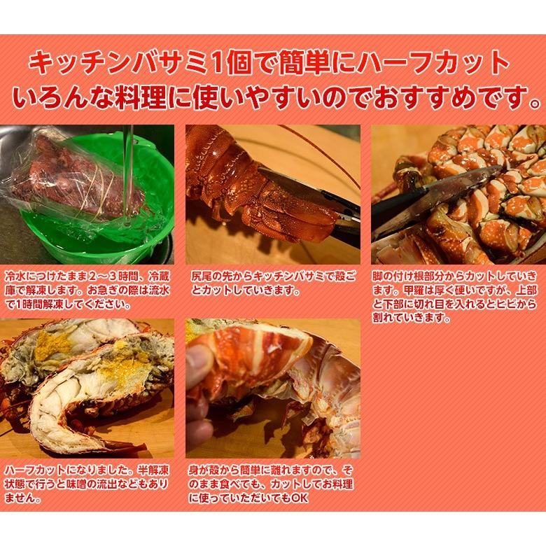 海老 えび エビ ロブスター 南アフリカ産 訳あり 特大ボイルロブスター 600g以上 冷凍 送料無料 1q 豊洲からの直送便 ヤフー店 通販 Yahoo ショッピング
