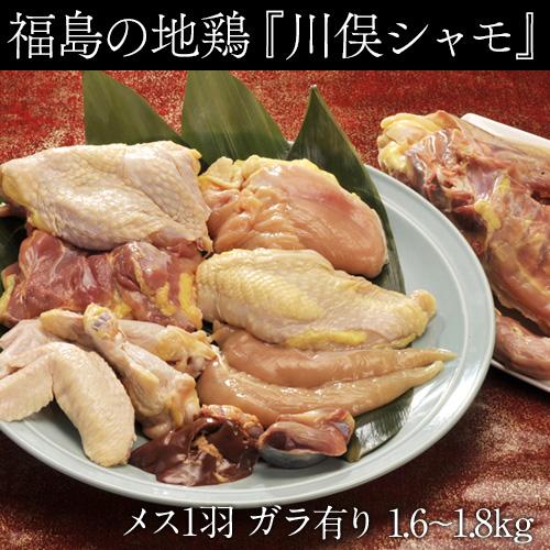 伊達の地鶏「川俣シャモ」　バラシ1羽　メス(内臓・ガラ付き)　1.6〜1.8kg　※冷蔵