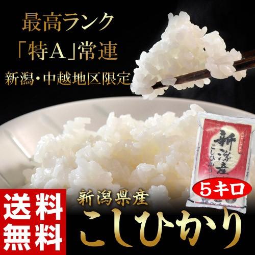 《送料無料》新潟県産「コシヒカリ」　白米　5kg　○｜tsukijiichiba