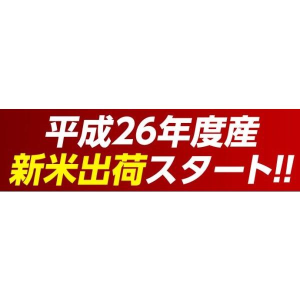 《送料無料》新潟県産　五つ星マイスター田中亮氏が厳選!!「美味新潟米」　白米　5kg　○｜tsukijiichiba｜06