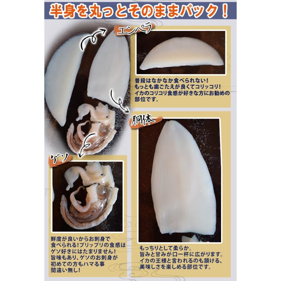 送料無料 半身がそのまま 丸ごと楽しむ あおりいか刺し 90g 6パック 冷凍 Sea 1z 豊洲からの直送便 ヤフー店 通販 Yahoo ショッピング