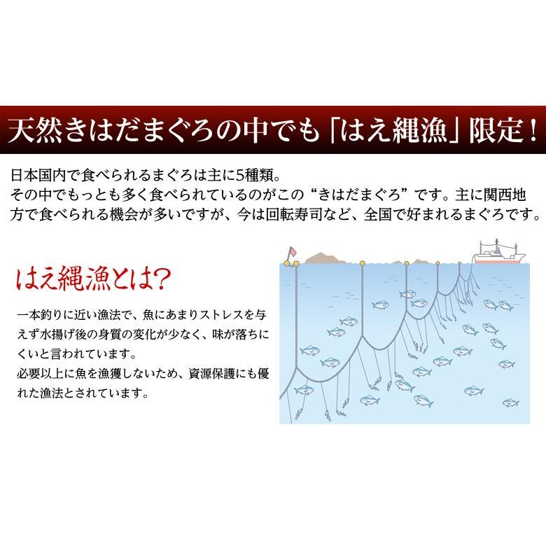 ≪送料無料≫自宅でお鮨屋さん気分♪ドーンと天然まぐろブロック　合計1kg(4本入り)　※冷凍　sea 〇｜tsukijiichiba｜05