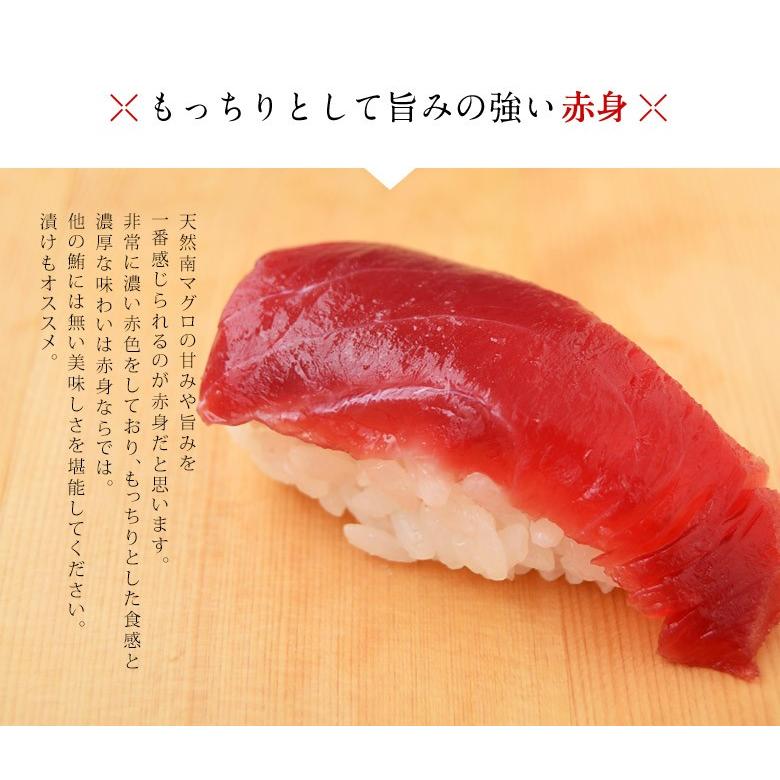 マグロ 鮪 まぐろ 天然南マグロ インドマグロ 大トロ 中トロ 赤身 合計1kg 鮨屋が使う上物をお届け 送料無料 冷凍 同梱不可 1z 豊洲からの直送便 ヤフー店 通販 Yahoo ショッピング